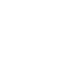 NDM Scaffolding