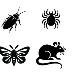 Vermin Control Glasgow